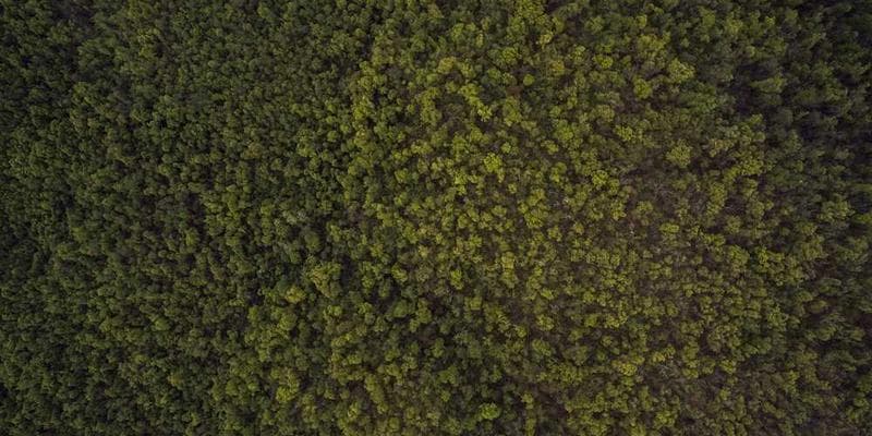 🖥️ 미니PC 서버 세팅 기록